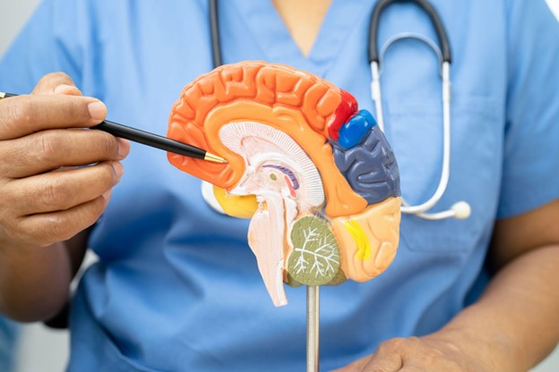 Arien J Smith: Pioneering Neurosurgery at the Brain and Spine Institute of NY/NJ
