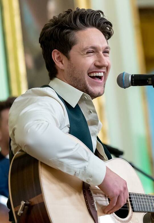Niall Horan Biography