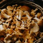 The Ultimate Guide to Growing Medicinal and Gourmet Mushrooms