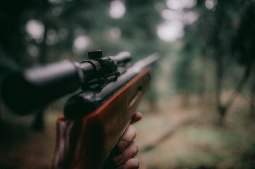 What to Look for in Selecting the Best Beginner Firearm for Hunting