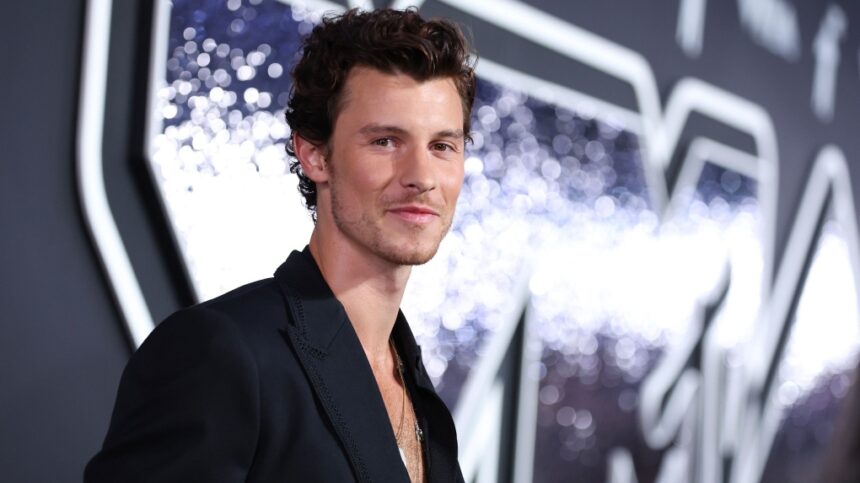 How Much is Shawn Mendes' Net Worth?