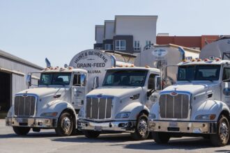 How Strategic Maintenance Enhances Reliability in Large-Scale Operations