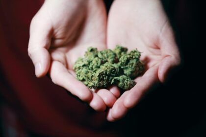 How to Choose the Right THC Flower for Your Needs