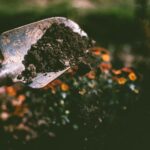 5 Things You Should Do Now to Protect Your Garden for the Winter