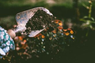 5 Things You Should Do Now to Protect Your Garden for the Winter