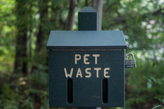 Wrong Ways to Dispose of Dog Poop and What to Do Instead 