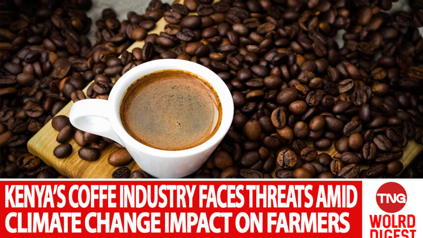 KENYA’S COFFE INDUSTRY FACES THREATS AMID CLIMATE CHANGE IMPACT ON FARMERS