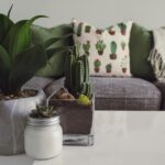 Top Eight Home Improvements That Support Your Health