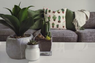 Top Eight Home Improvements That Support Your Health