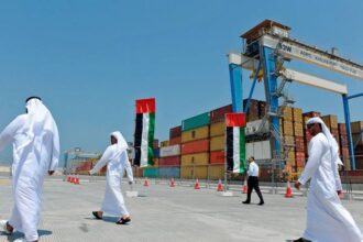 UAE becomes Africa's largest investor