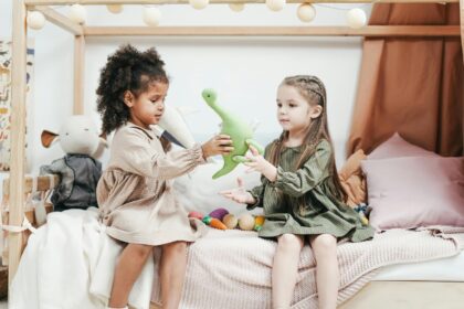 Double the Fun, Half the Space: Genius Bed Designs That Make Room for Siblings