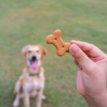Treat Your Dog Right: The Importance of Size and Quality in Dog Treats