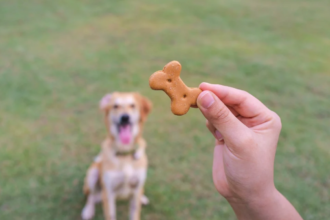 Treat Your Dog Right: The Importance of Size and Quality in Dog Treats