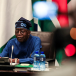 Nigeria To Establish The National Credit Guarantee Company