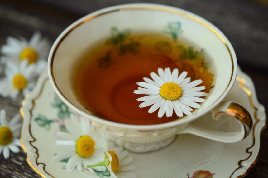 The Benefits of Using Herbal Solutions for Stress Relief and Mental Health
