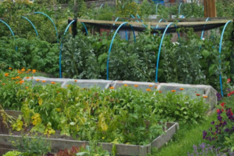 Common Pitfalls in Homesteading Gardening and How to Avoid Them