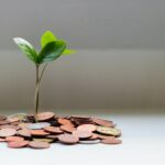 Understanding Private Placement Life Insurance for Wealth Management