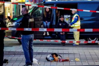 A car drives into a crowd, resulting in the death of two people in the German city of Mannheim