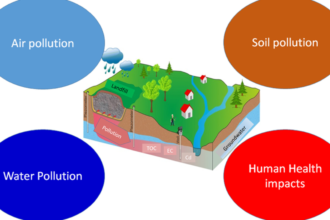 Multidimensional Application Of Intelligent Monitoring Technology In Landfill Risk Prevention And Control
