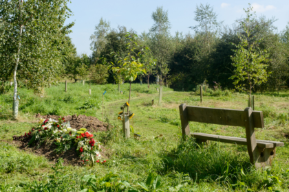 The Healing Power of Natural Burials: How Green Funerals Benefit Mental Well-Being