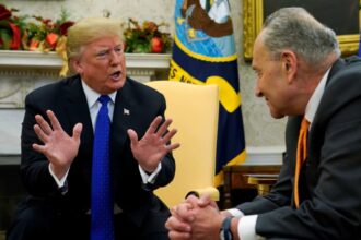 Trump and Schumer