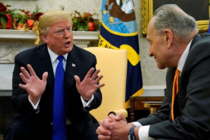 Trump and Schumer