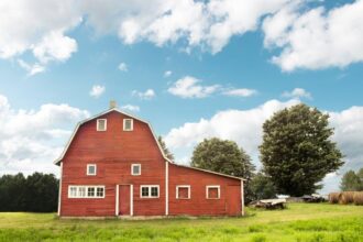 Essential Farm Tools for Modern Hobbyists