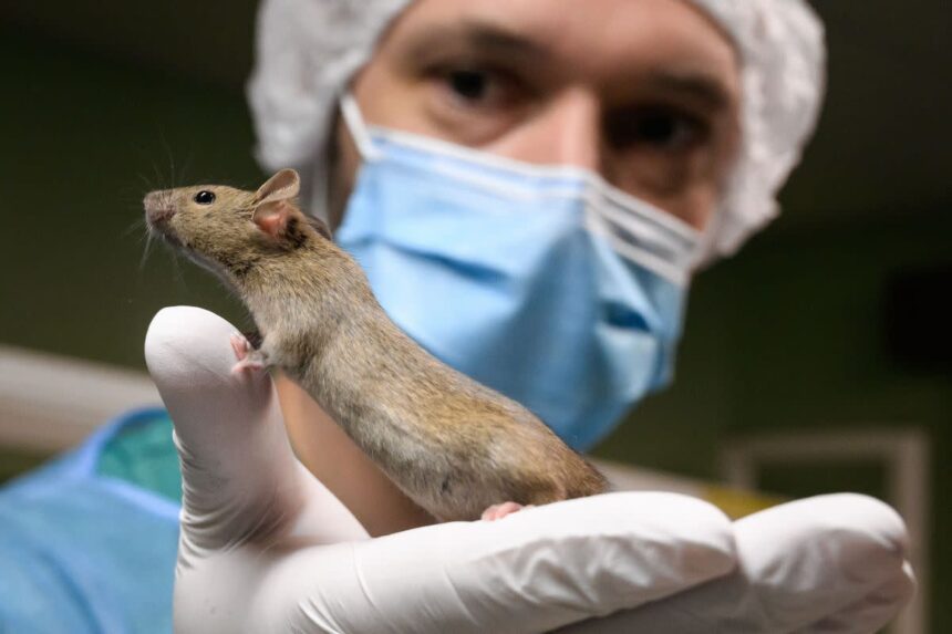 Trump admin cuts additional $1M in federal funding for 'transgender animal' experiments