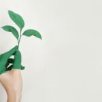 How Eco Friendly Waste Removal Supports a Cleaner and Healthier Planet