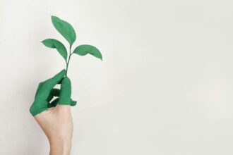 How Eco Friendly Waste Removal Supports a Cleaner and Healthier Planet