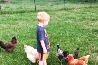 Kid-Friendly Chicken Breeds: Gentle Options for Family Farms