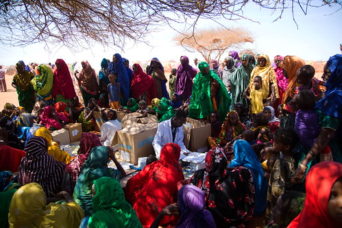 WFP Suspends Malnutrition Treatments in Ethiopia Due to Severe Funding Crisis