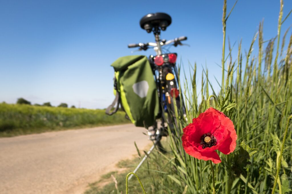 Ways to Explore Safe and Effective Solutions for Ongoing Health Problems