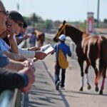 Trends and Statistics: An In-Depth Look at the Kentucky Derby Betting