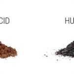 Why Bio Fulvic Acid is the Key to Sustainable Agriculture