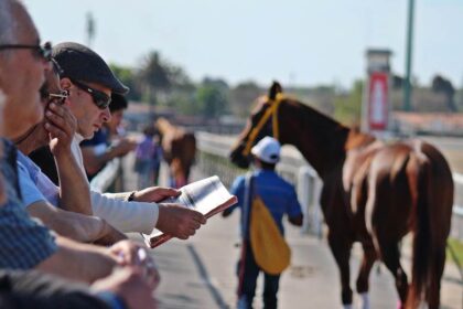 Trends and Statistics: An In-Depth Look at the Kentucky Derby Betting