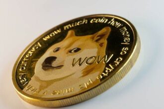 How to Find Meme Coin Hidden Gems Before the Hype