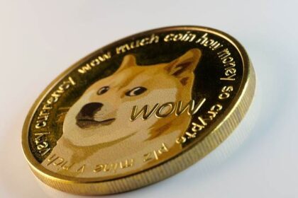 How to Find Meme Coin Hidden Gems Before the Hype