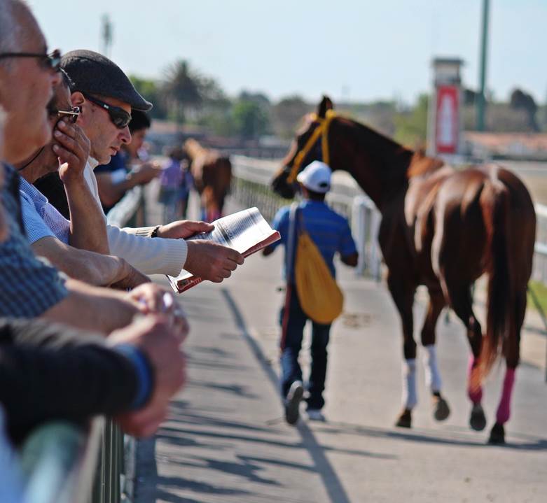 Trends and Statistics: An In-Depth Look at the Kentucky Derby Betting