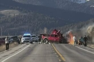 7 Dead After Tour van Crash Near Yellowstone National Park, police say