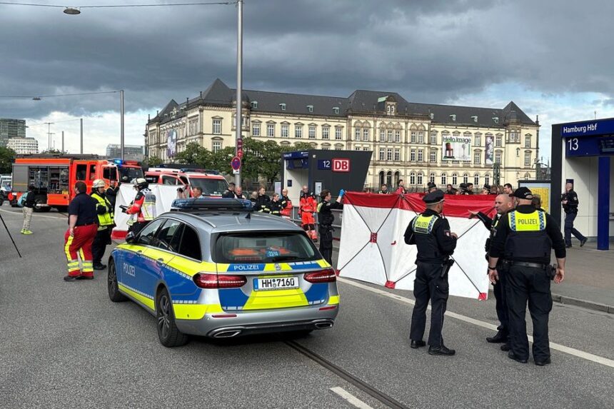 Hamburg Knife Attack