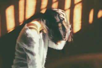 The Overlooked Role of Micronutrients in Neurological Wellness
