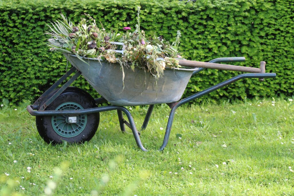 What Every Homeowner Should Know About Managing Garden Overgrowth
