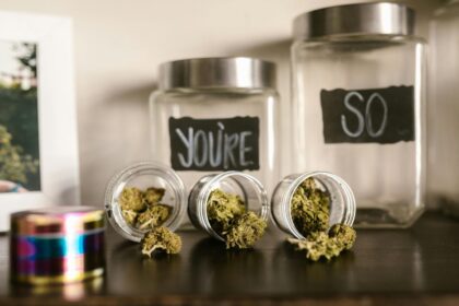 THC-A vs THC-P: Which Cannabinoid Is Right for You?