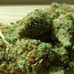 Understanding the Basics of Cannabis Measurements