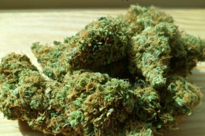 Understanding the Basics of Cannabis Measurements