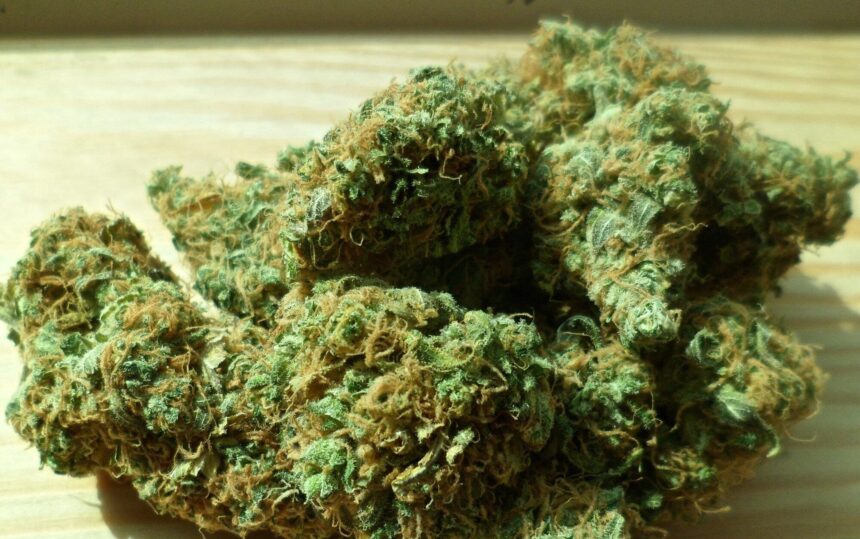 Understanding the Basics of Cannabis Measurements