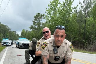 Massive 10-foot alligator 'detained' by cops in North Carolina for ‘being a dinosaur without proper papers’
