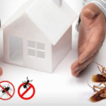 How to Create a Pest-Free Sanctuary at Home