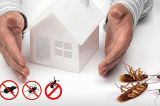 How to Create a Pest-Free Sanctuary at Home